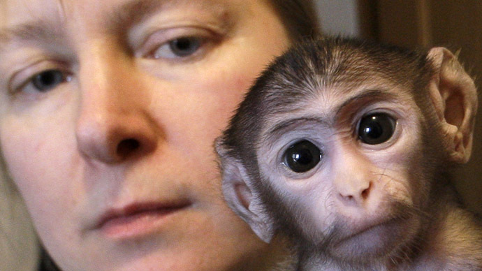 Americans prefer Bible over Darwin’s theory of evolution – survey