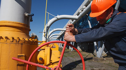 Ukraine's reverse gas flow from Europe artificial – Putin