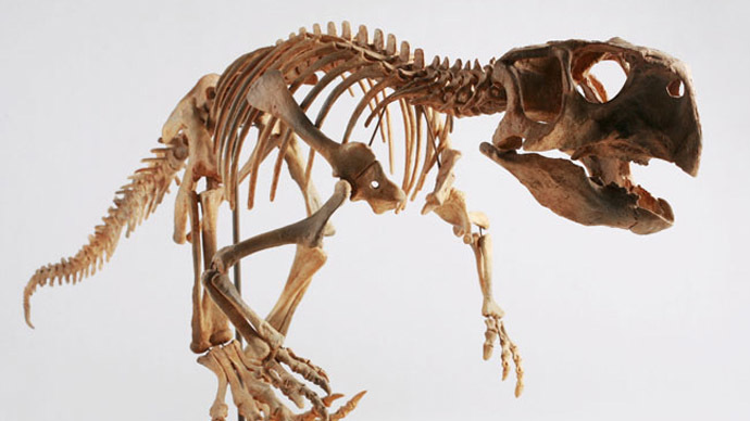 Dinosaur skeleton as old as 120mn years discovered in Siberia