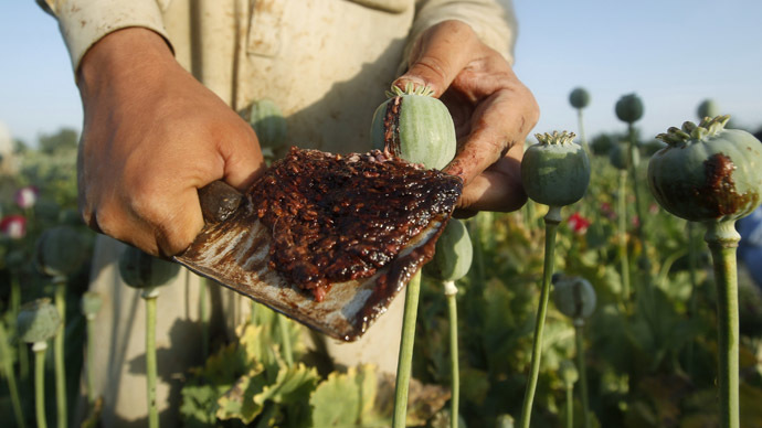 Land used for opium cultivation at historic high – UN