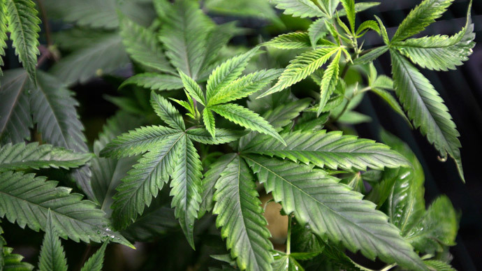 Dope hope: Marijuana may combat cancer spread, study shows