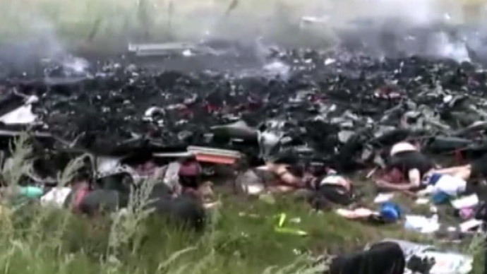 The site of crashed Malaysian plane (screenshot from RT video)