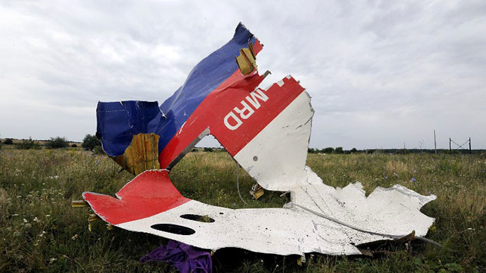 A piece of wreckage of the Malaysia Airlines flight MH17 is pictured on July 18, 2014 in Shaktarsk, the day after it crashed. (AFP Photo / Dominique Faget)