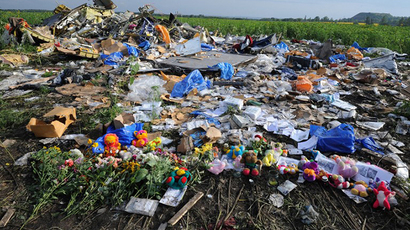 MH17 might have been shot down from air – chief Dutch investigator