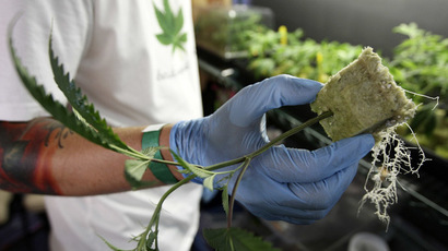 Seattle cop responsible for 80 percent of marijuana citations reassigned