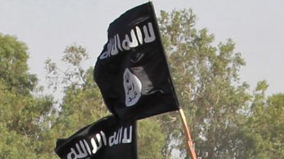 UKIP: Strip Islamic State militants of their British citizenship