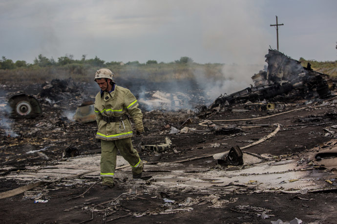 The crash site of the Malaysian Boeing 777 outside Shakhtyorsk, Donetsk Region. (RIA Novosti / Andrey Stenin)