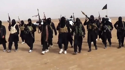 ISIS has 100,000 fighters, growing fast - Iraqi govt adviser