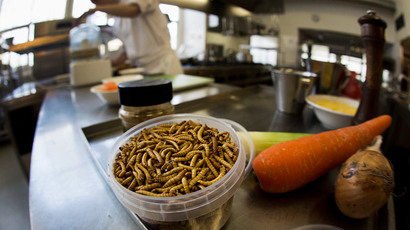 ‘No dessert until you eat your cricket’: Insects set to enter menus after EU ruling