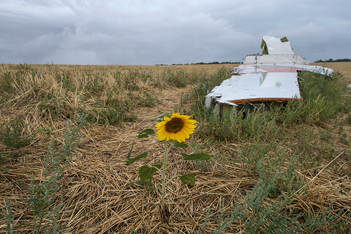 A sunflower is pictured near a piece of wreckage of the downed Malaysia Airlines flight MH17, near the village of Hrabove (Grabovo) in Donetsk region, eastern Ukraine September 9, 2014 (Reuters / Marko Djurica)