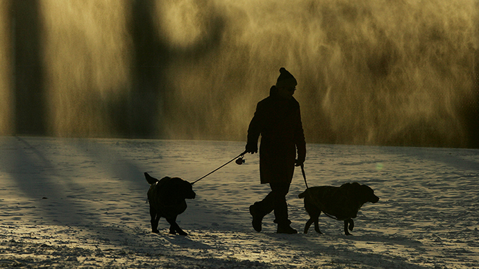 Denmark to ban sex with animals