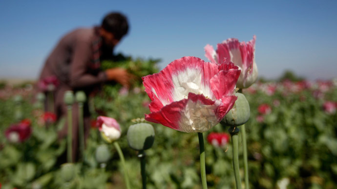 America’s $7.6 billion war on Afghan drugs fails, opium production peaks