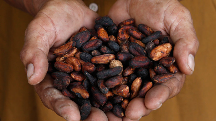 ​Cup of cocoa a day keeps memory loss away – scientists