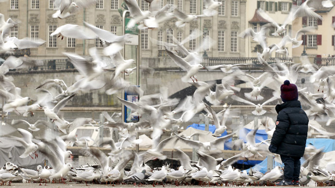 Europe has lost 20% of bird population since 1980