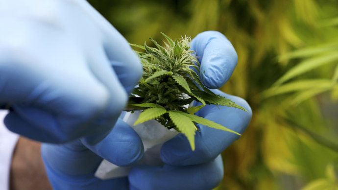 Alaska, Oregon and Washington, DC vote to legalize recreational marijuana