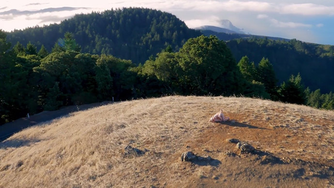 ‘Drone Boning’: World’s first drone porn film neither first, nor porn