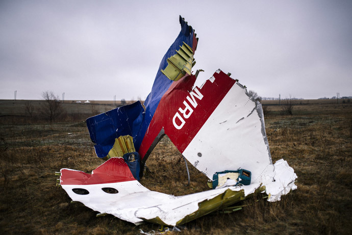 A picture taken on November 10, 2014, shows parts of the Malaysia Airlines Flight MH17 at the crash site near the village of Hrabove (Grabovo), some 80 kms east of Donetsk. (AFP Photo/Dimitar Dilkoff)