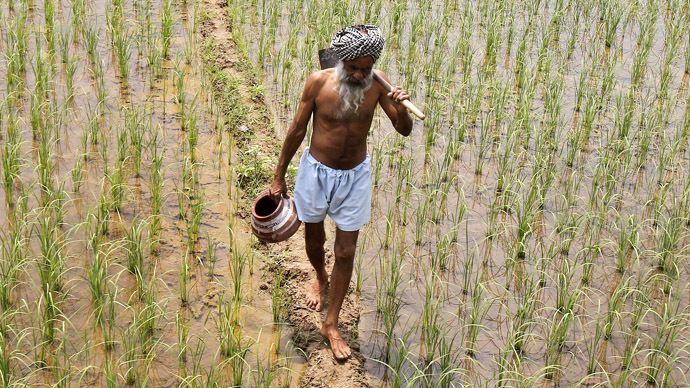 Rising suicide rate for Indian farmers blamed on GMO seeds