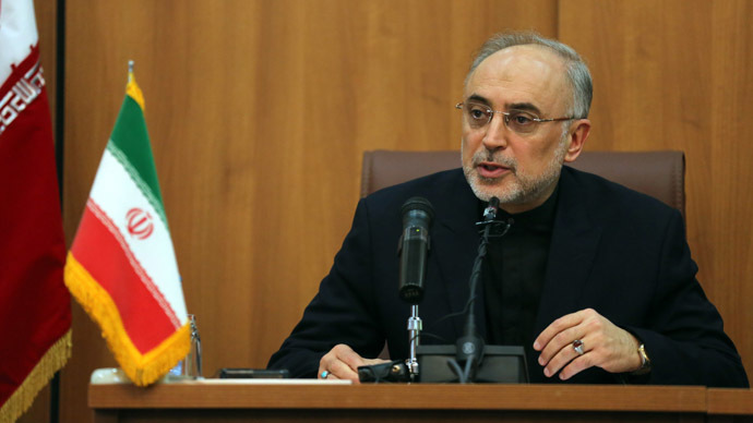 Head of Iran's Atomic Energy Organisation Ali Akbar Salehi (AFP Photo/Atta Kenare)
