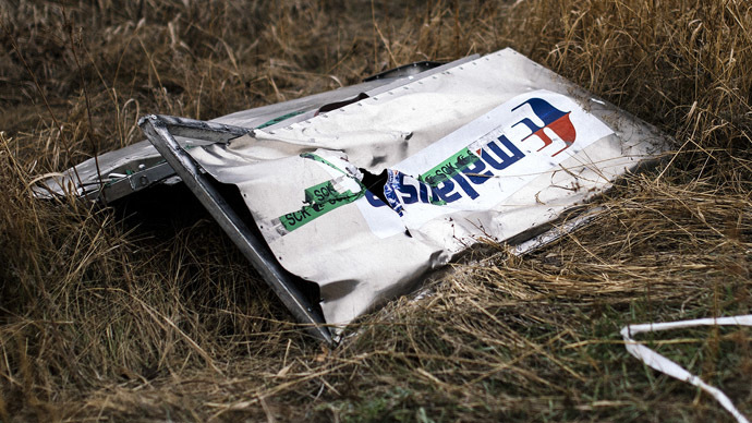 A picture taken on November 7, 2014, shows a part of the Malaysia Airlines Flight MH17 at the crash site in the village of Hrabove (Grabovo), some 80km east of Donetsk. (AFP Photo/Dmitar Dilkoff)