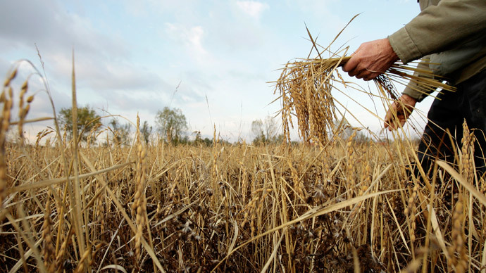 Monsanto-killer or ‘Trojan Horse’? New law lets EU states ban GM crops