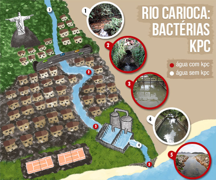 Places marked in red show where superbug was detected (screenshot from www.fiocruz.br)