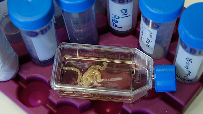 Scientists create artificial human sperm, eggs from stem cells