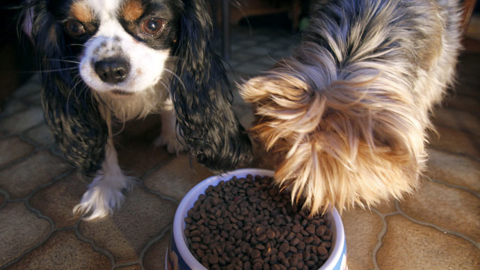 US retailer pulls Chinese dog treats fearing they killed 1,000 pets