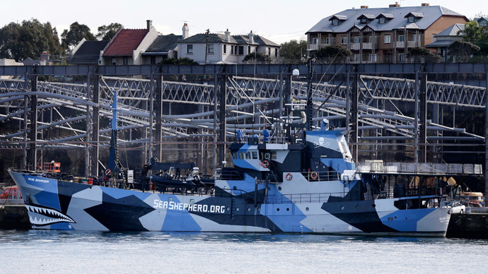 The Sea Shepherd vessel, Bob Barker, is moored in Sydney Harbour.(Reuters / Tim Wimborne)
