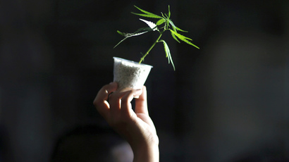 Dude! Legal marijuana America’s fastest-growing industry - report