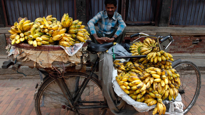 World’s most popular banana faces eradication by deadly fungus