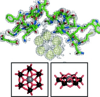 Anomalous difference map of HEWLâTEW structure. (ChemBioChem/Gregory Weiss)