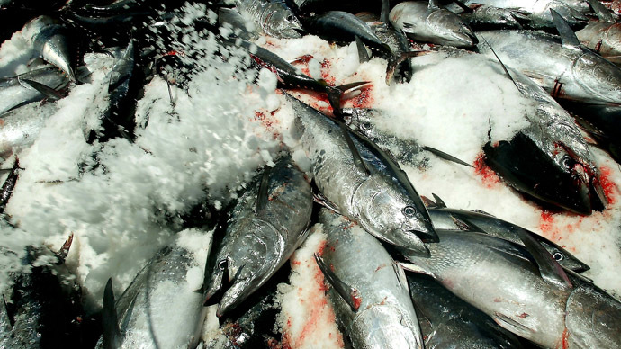 Mercury levels on the rise in Hawaiian yellowfin tuna