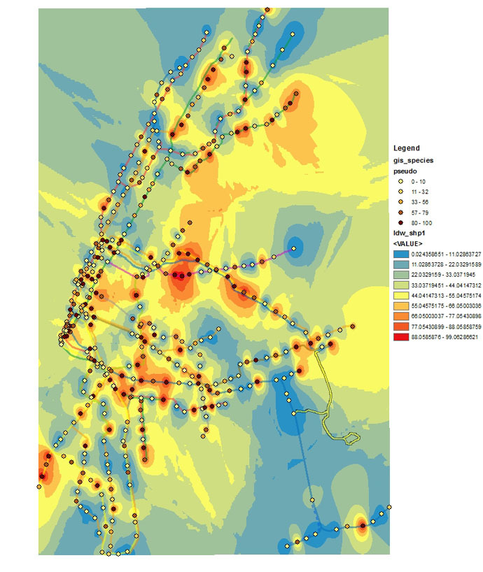 Heatmap of the Pseudomonas genus, the most abundant genus found across the city. Hotspots are found in areas of high station density and traffic (i.e. lower Manhattan and parts of Brooklyn).