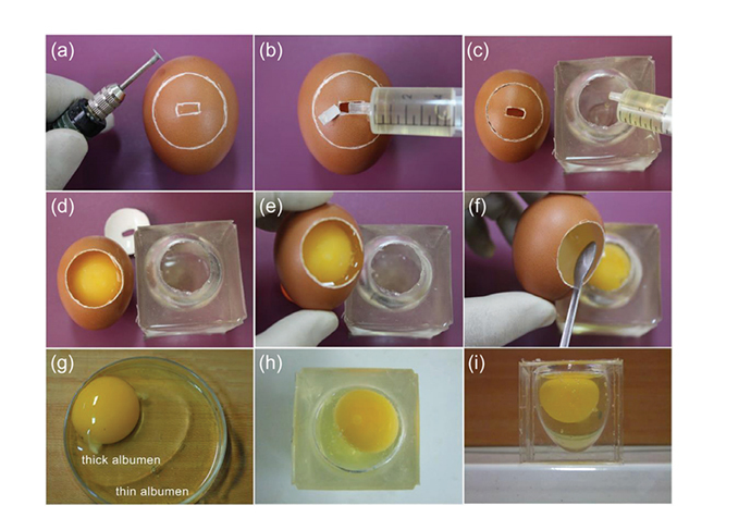 Transfer technologies for PDMS whole eggshell (Image from Science China Technological Sciences journal)