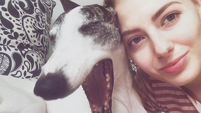 Dogs can tell happy faces from angry ones, researchers find