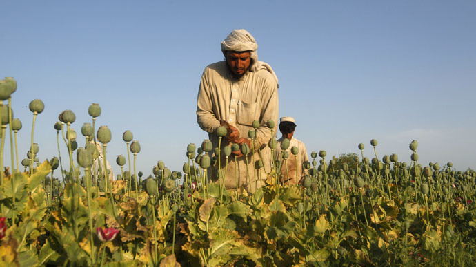 Afghan opium cultivation ‘grew 40-fold’ during US operation - Russia Security Council chief