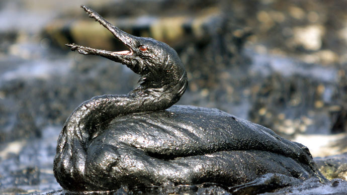 A drop in the ocean: Recovery projects worth $134 million proposed for BP oil spill