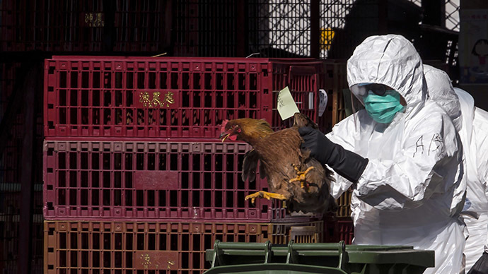 Nebraska becomes 4th state to declare emergency over bird flu