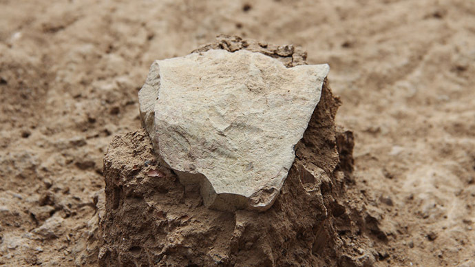 ‘Predate humans’: Stone tools made 3.3mn years ago found in Kenya