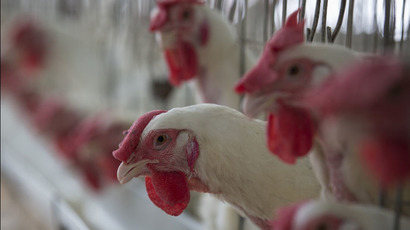 Russia halts transit of US poultry - food safety watchdog