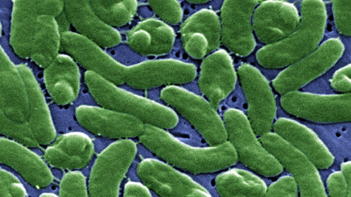 Florida man dies from ‘flesh-eating’ bacteria contracted in Mississippi