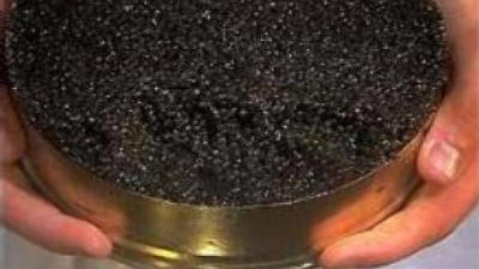 Caspian oil threatens caviar production