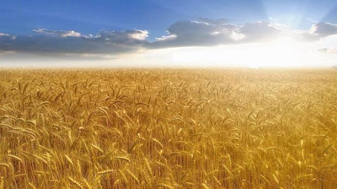 Getting a better harvest from Russian agriculture