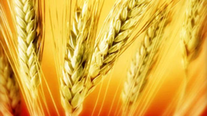 Russia bans grain exports 