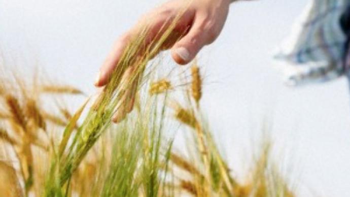 Russia extends grain export ban