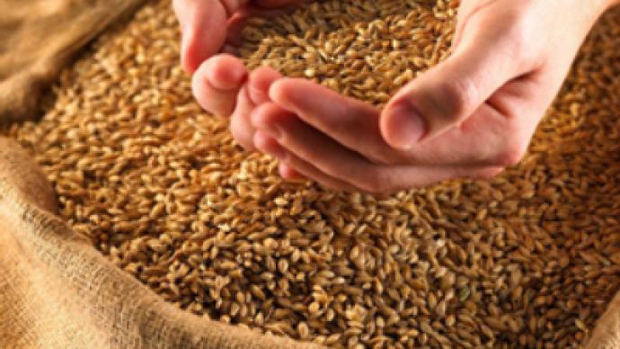 Grain speculation as prices rise prompts intervention comment