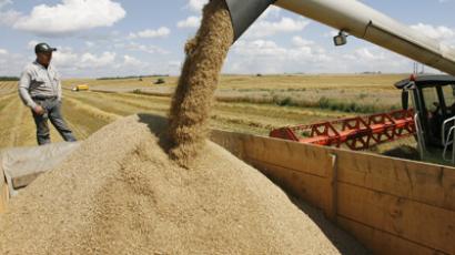US grain company seeks a piece of Russian wheat pie