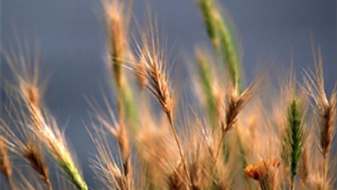No need to fear grain deficit because of weather