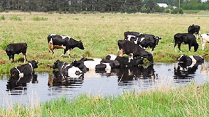 Russia to boost livestock exports